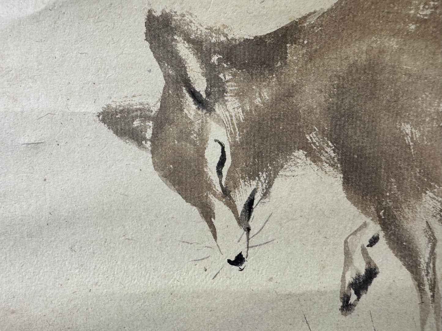 Y10160 KAKEJIKU Hanging scroll Fox animal signed Japan antique interior decor