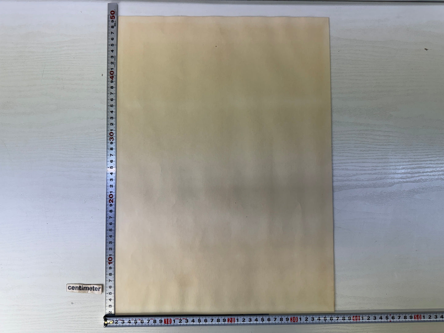 Y10175 WOODBLOCK PRINT Bamboo signed Kotozuka Eiichi Japan Ukiyoe antique art