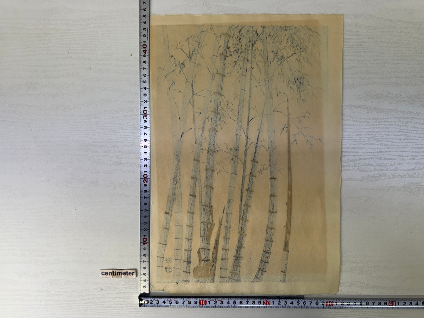 Y10175 WOODBLOCK PRINT Bamboo signed Kotozuka Eiichi Japan Ukiyoe antique art