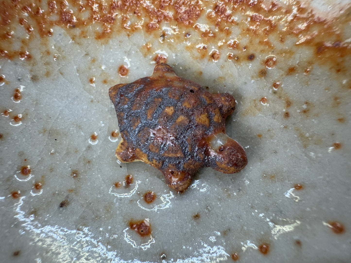 Y10295 CHAWAN Shino-ware sake cup signed box Japan antique sakazuki tableware