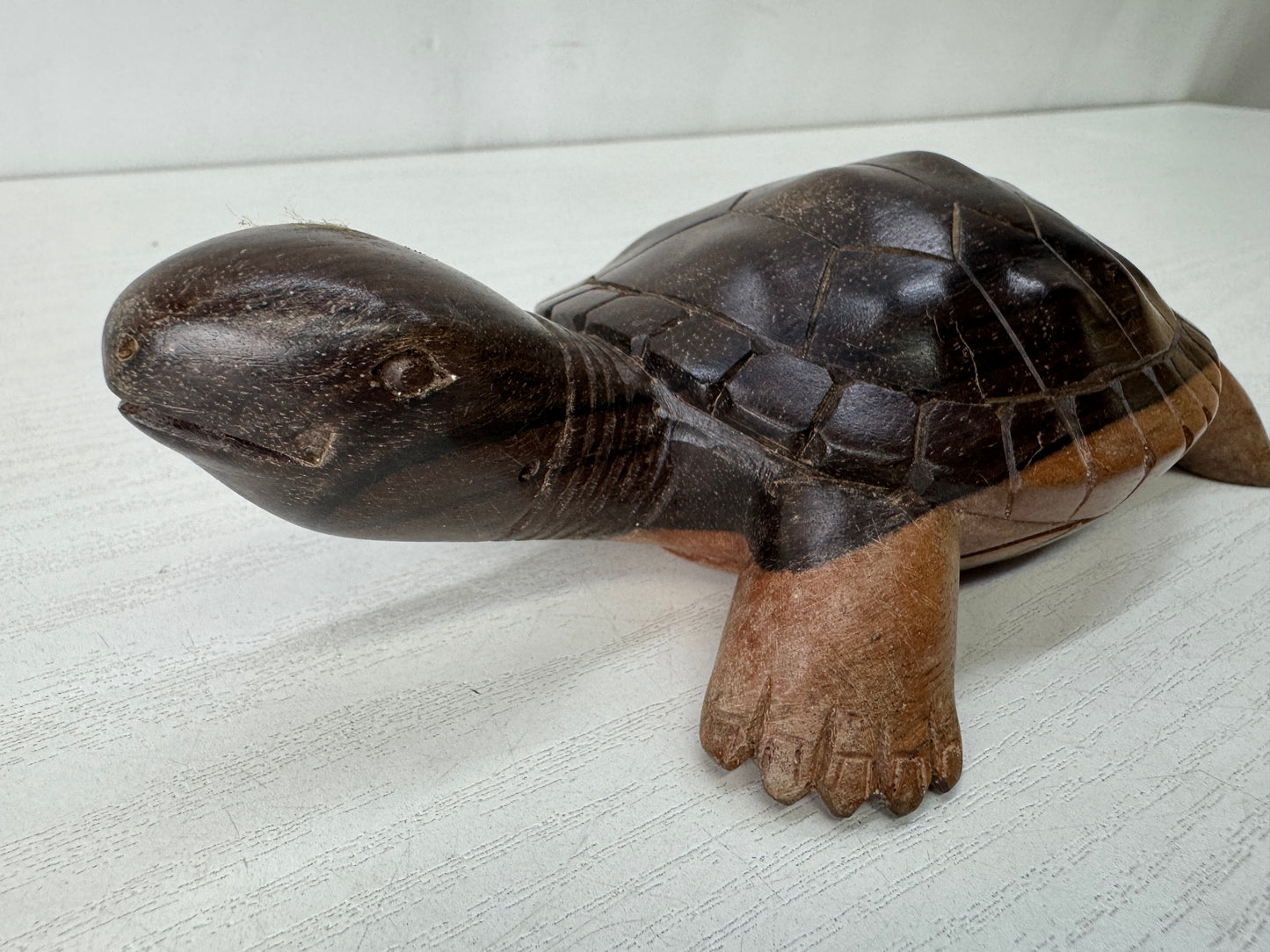 Y10382 OKIMONO wood carving Turtle figurine signed box Japan antique figure