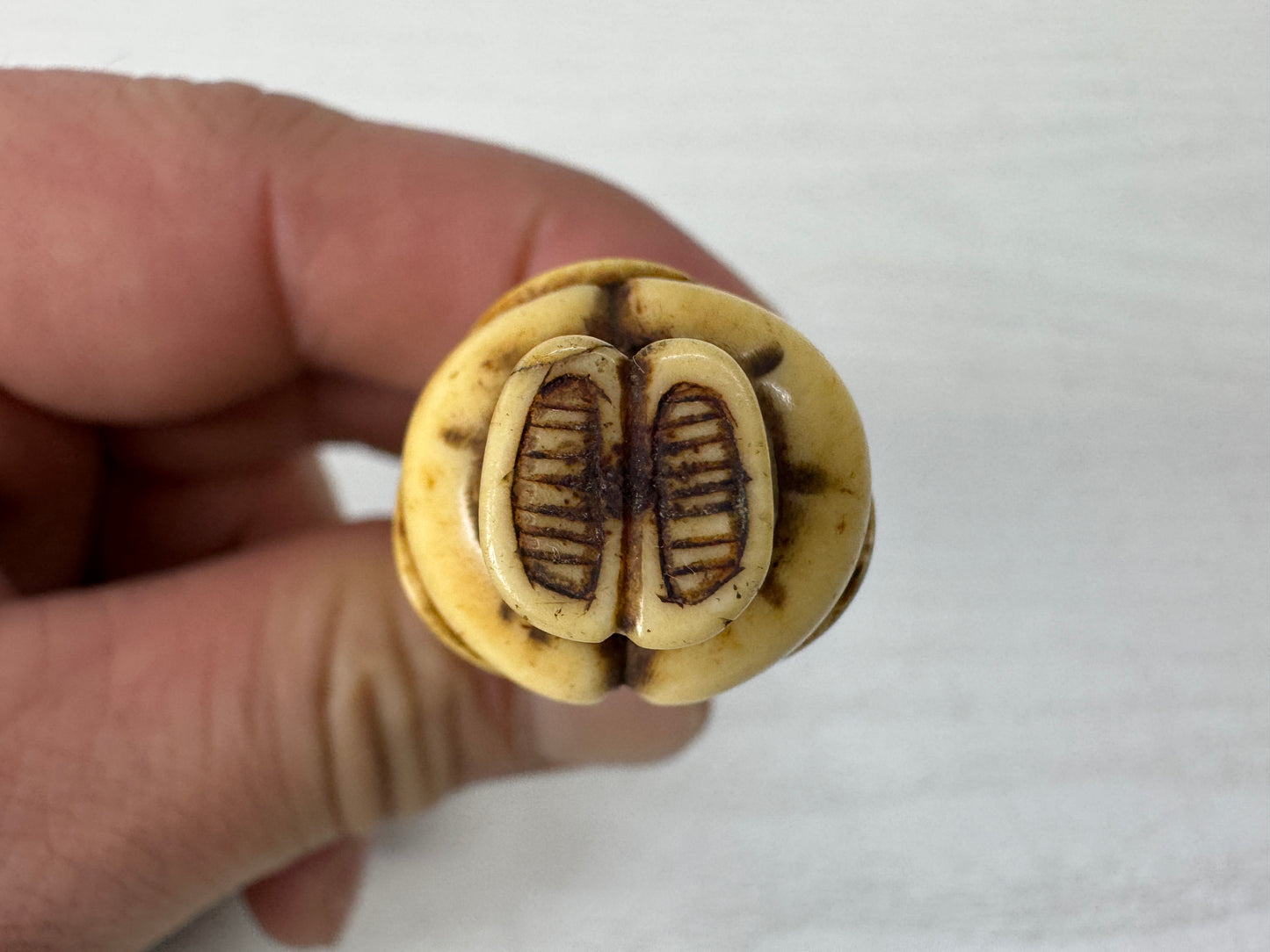 Y10386 NETSUKE Dutchman Kotsu material Japan antique kimono accessory sagemono