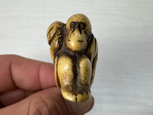 Y10388 NETSUKE Monkey Kotsu material Japan antique kimono accessory sagemono