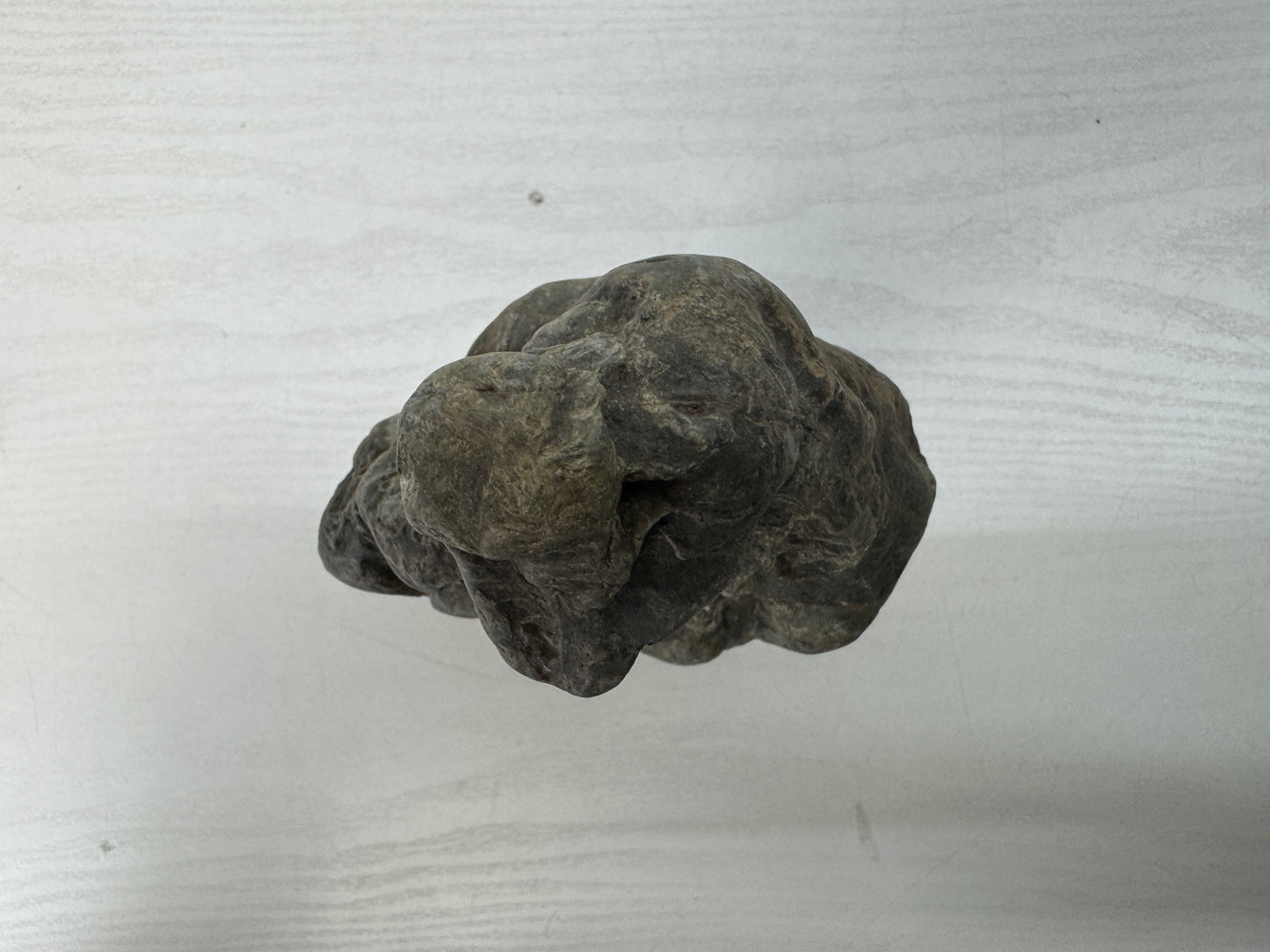 Y10448 OKIMONO Suiseki natural viewing stone wooden stand Japan antique interior