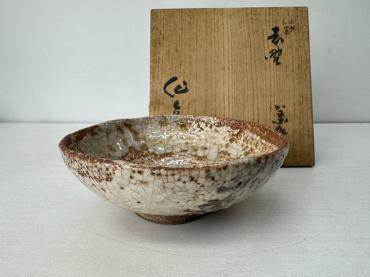 Y10453 CHAWAN Shino-ware flat bowl signed box Japan antique tea ceremony pottery
