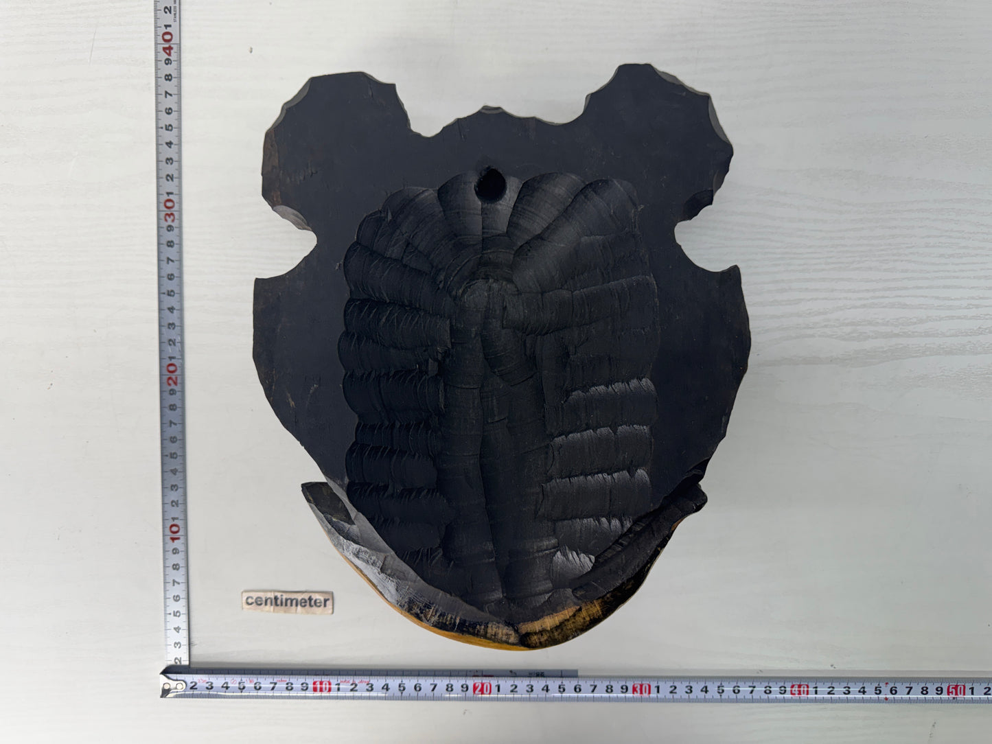 Y10561 ORNAMENT wood carving Bear wall decoration Ainu salmon Japan antique