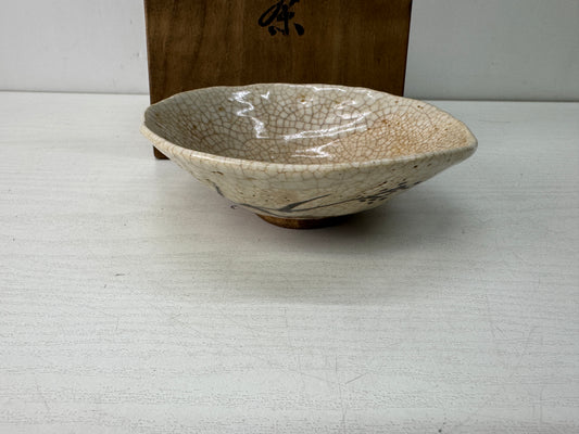 Y10572 CHAWAN Shino-ware flat bowl box Japan antique tea ceremony pottery cup