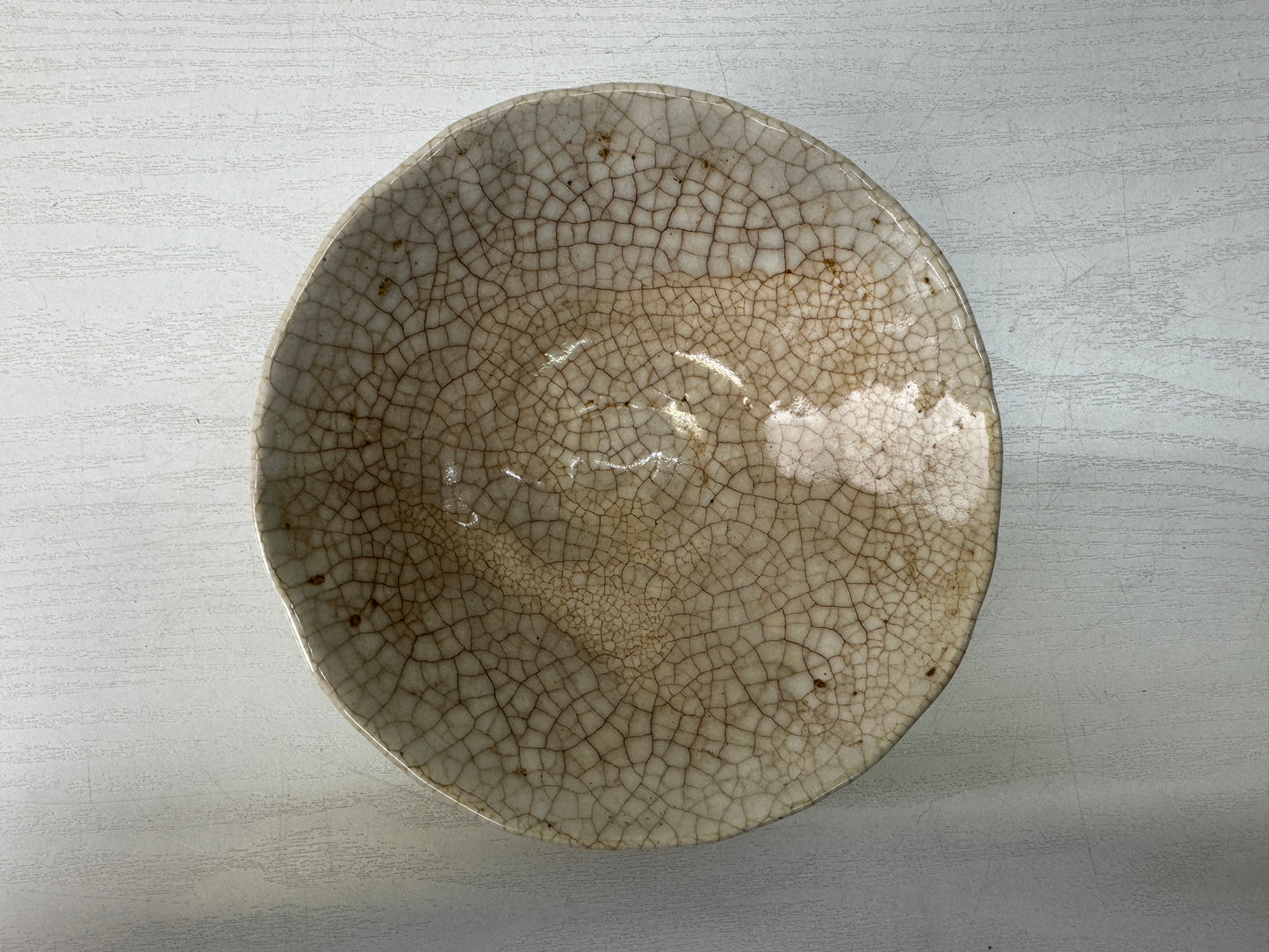 Y10572 CHAWAN Shino-ware flat bowl box Japan antique tea ceremony pottery cup