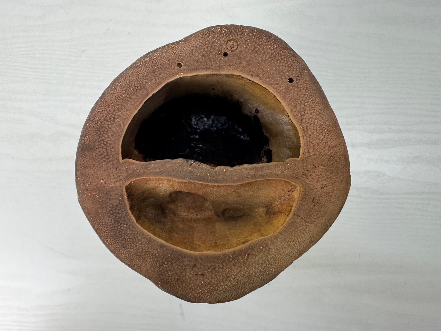 Y10591 FLOWER VASE Bamboo signed box Japan antique ikebana floral arrangement