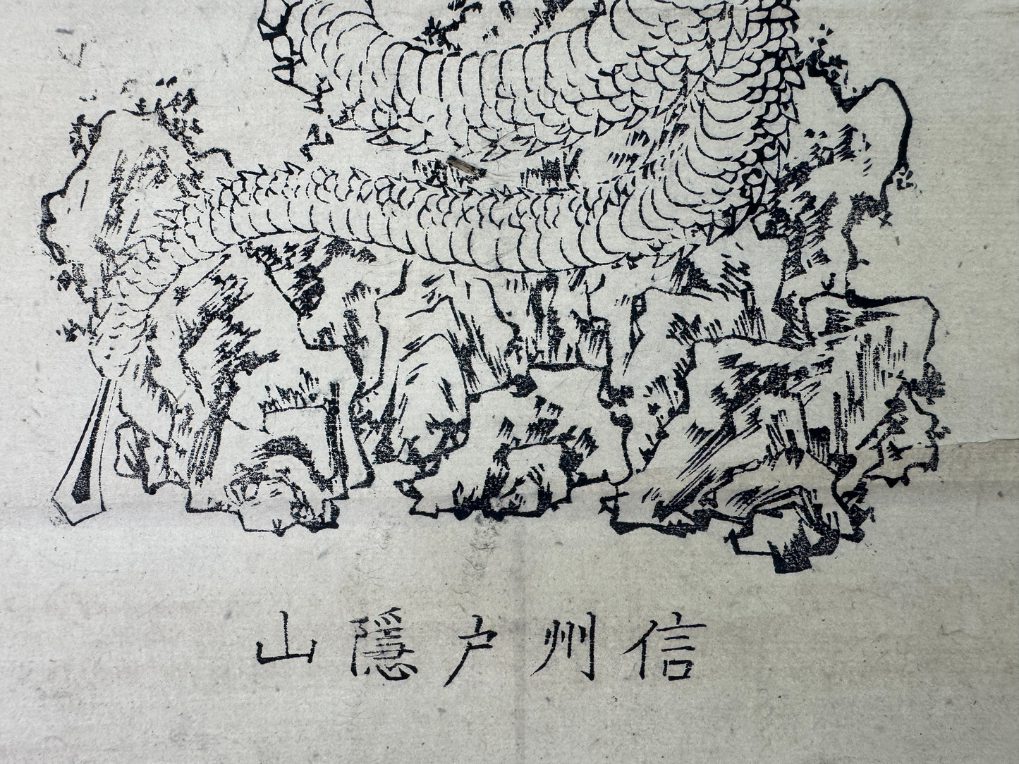 Y10612 KAKEJIKU Hanging scroll Dragon printed Buddhist image Japan antique decor