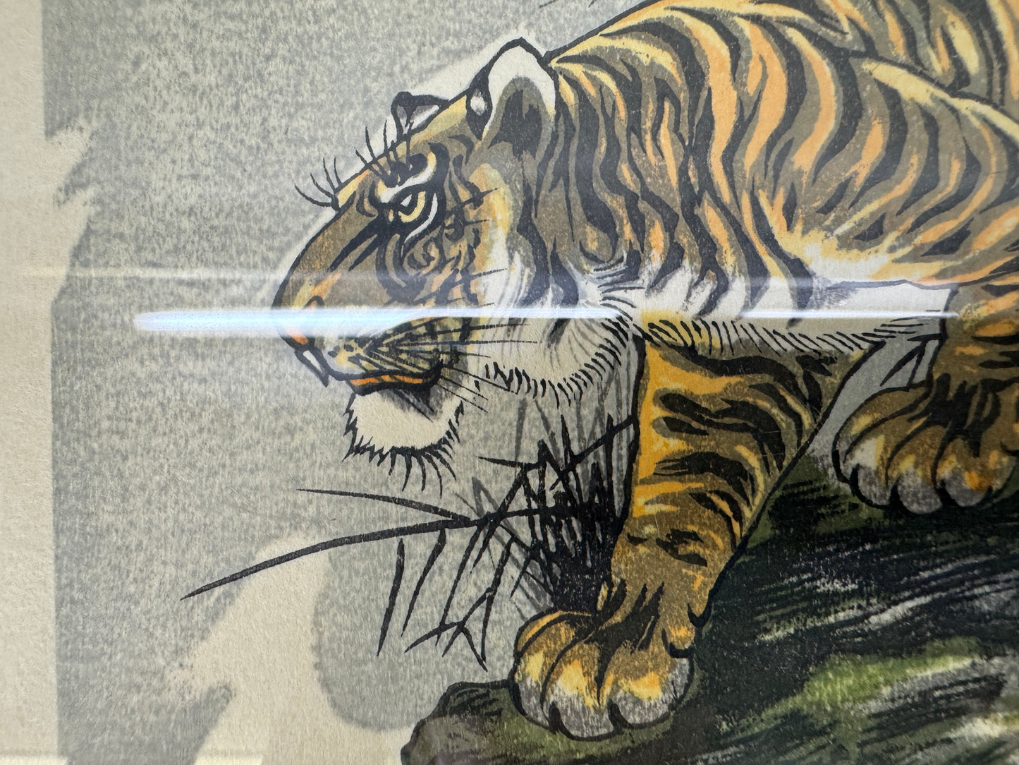 Y10686 WOODBLOCK PRINT Tiger Taki Shusui small frame Japan Ukiyoe art interior