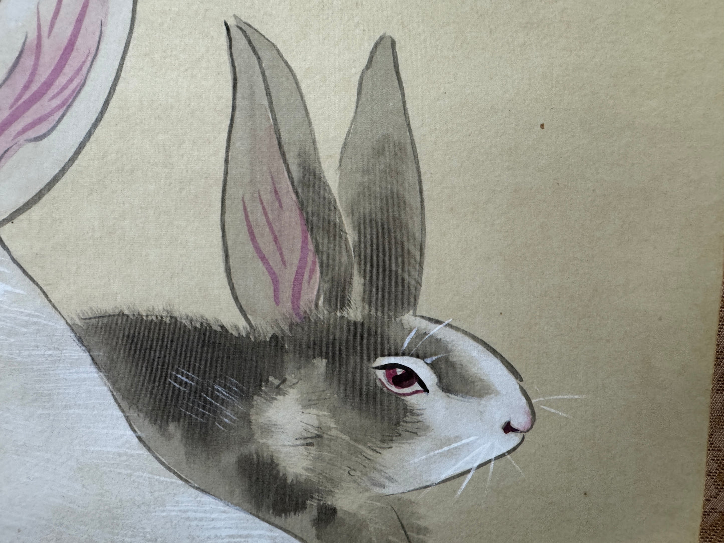 Y10727 KAKEJIKU Hanging scroll Rabbit signed Japan antique interior wall decor