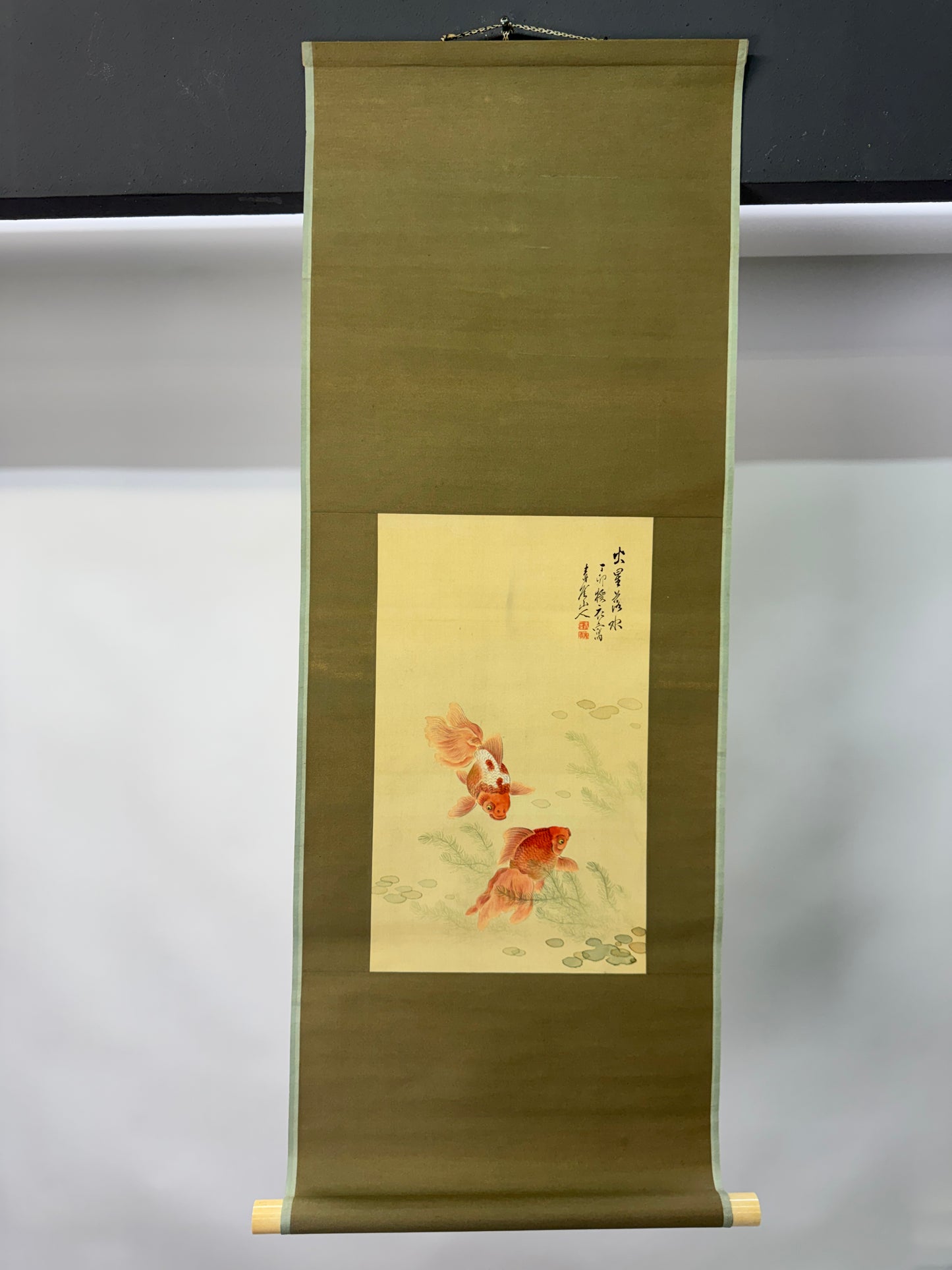 Y10733 KAKEJIKU Hanging scroll Goldfish Ranchu signed Japan antique interior