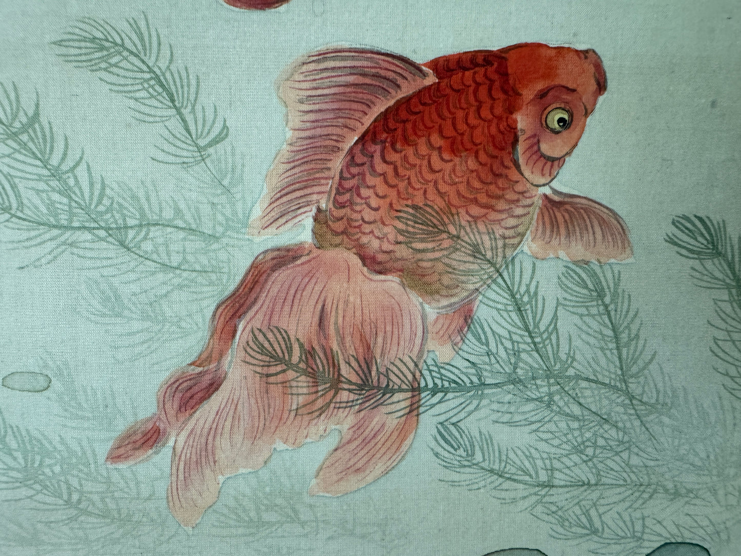 Y10733 KAKEJIKU Hanging scroll Goldfish Ranchu signed Japan antique interior