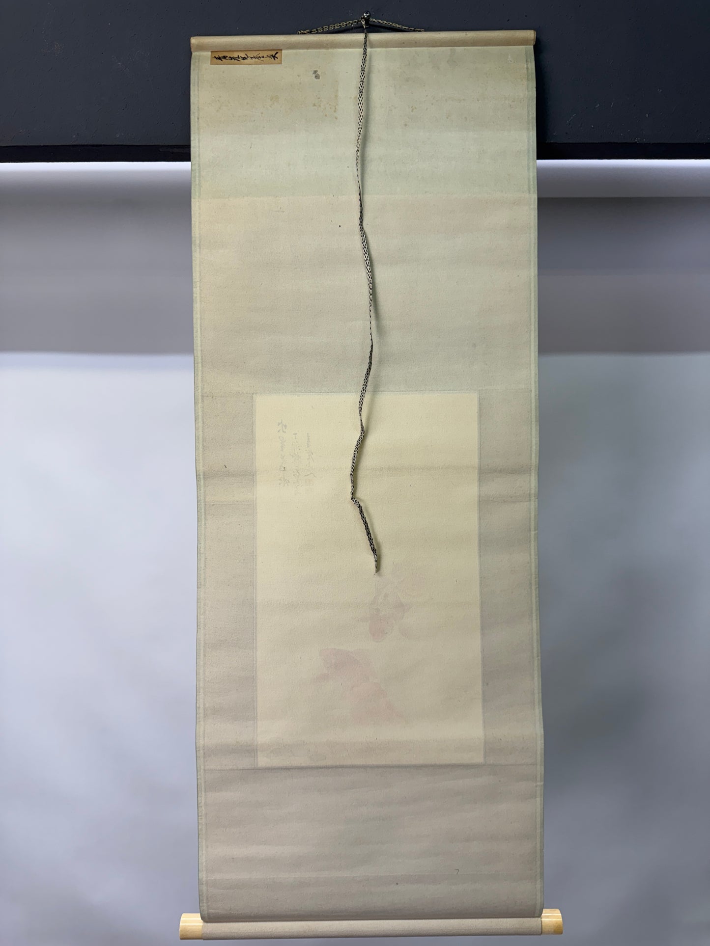 Y10733 KAKEJIKU Hanging scroll Goldfish Ranchu signed Japan antique interior