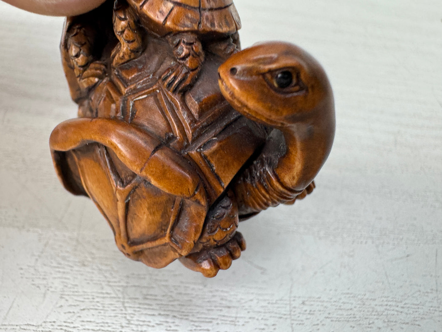Y10742 NETSUKE Turtle family Japan antique kimono accessory sagemono fashion