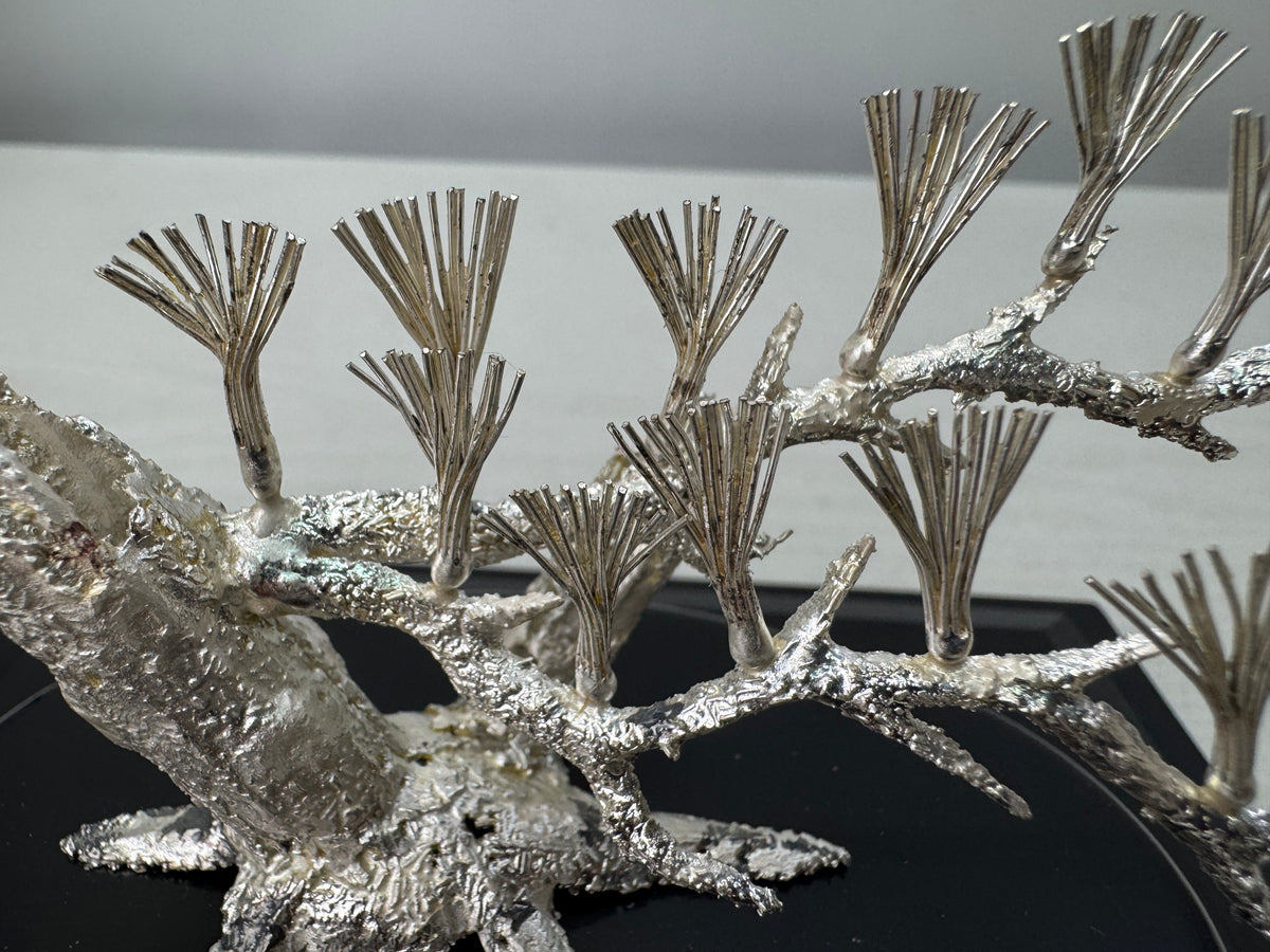 Y10893 OKIMONO Silver Pine tree ornament glass case Japan antique interior decor