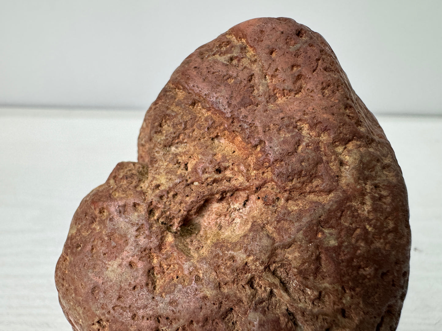 Y10959 OKIMONO red Viewing stone wooden stand Fossil Japan antique interior