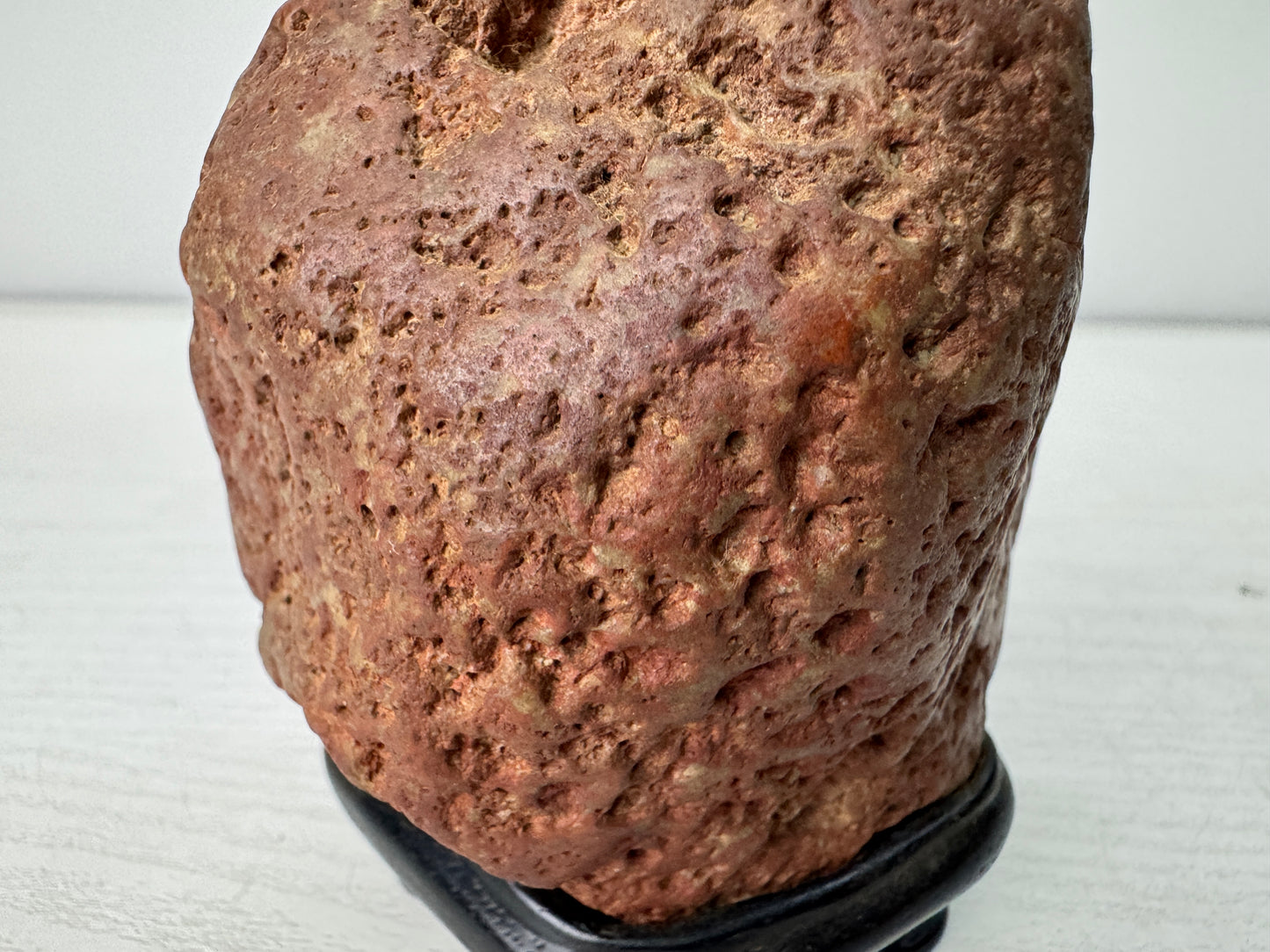 Y10959 OKIMONO red Viewing stone wooden stand Fossil Japan antique interior