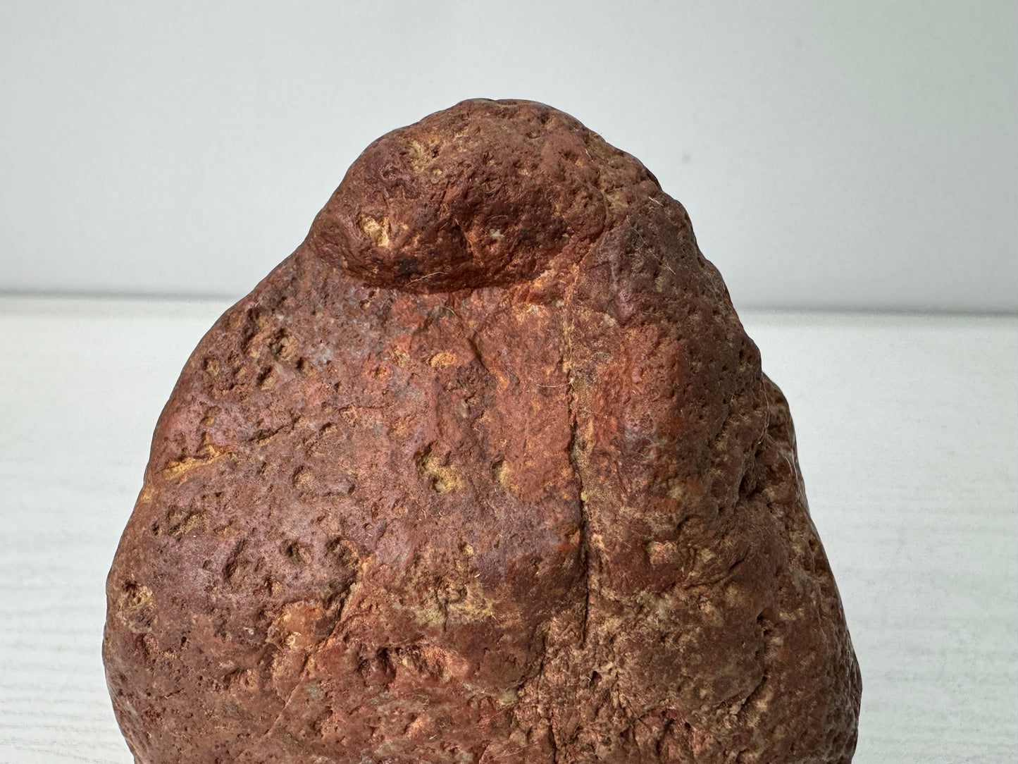Y10959 OKIMONO red Viewing stone wooden stand Fossil Japan antique interior