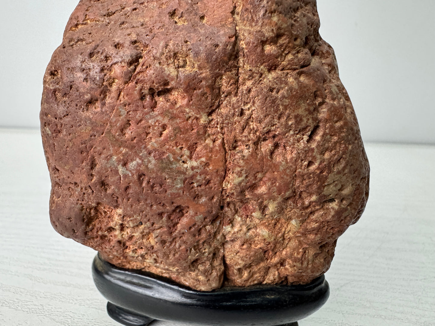 Y10959 OKIMONO red Viewing stone wooden stand Fossil Japan antique interior