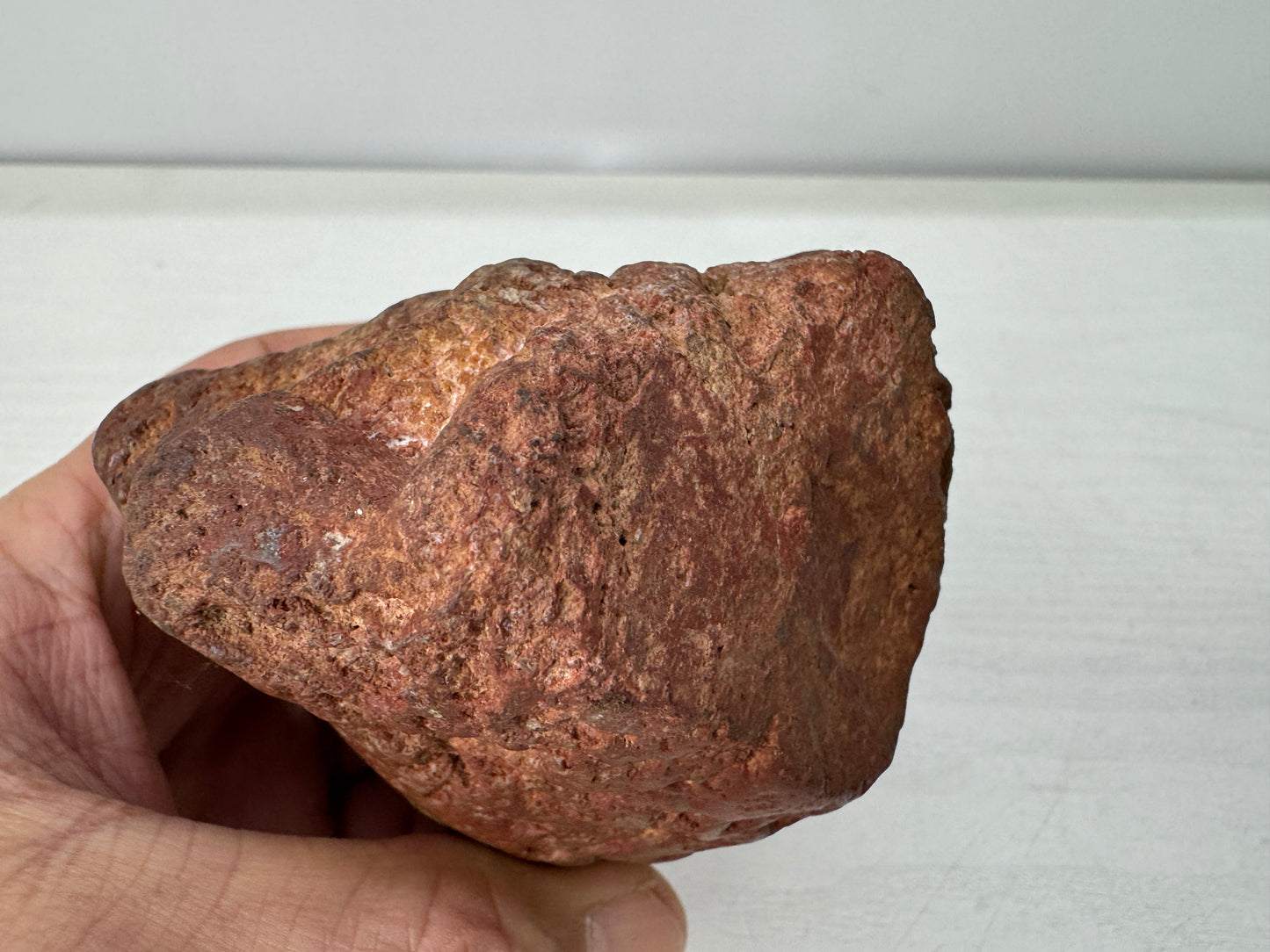 Y10959 OKIMONO red Viewing stone wooden stand Fossil Japan antique interior