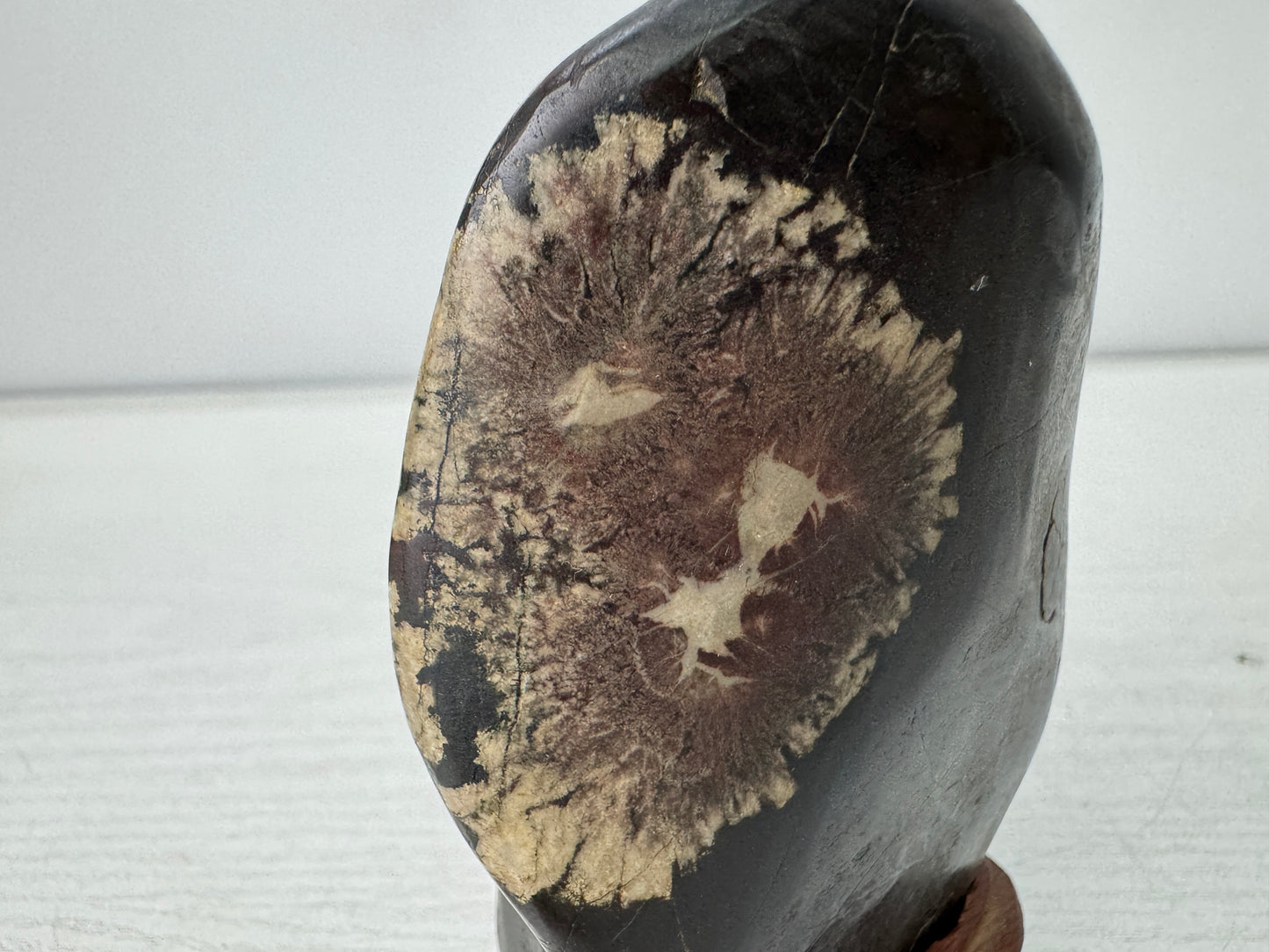 Y10960 OKIMONO Chrysanthemum stone wooden stand suiseki Japan antique interior