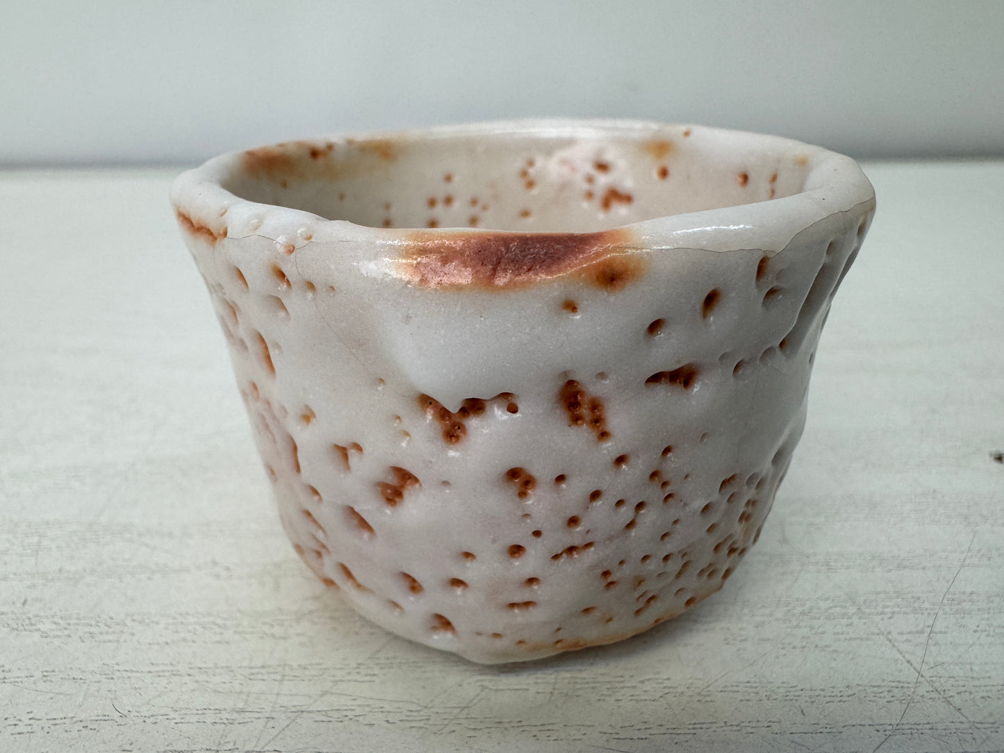 Y10984 CHAWAN Shino-ware Guinomi Sake cup signed box Japan antique tableware