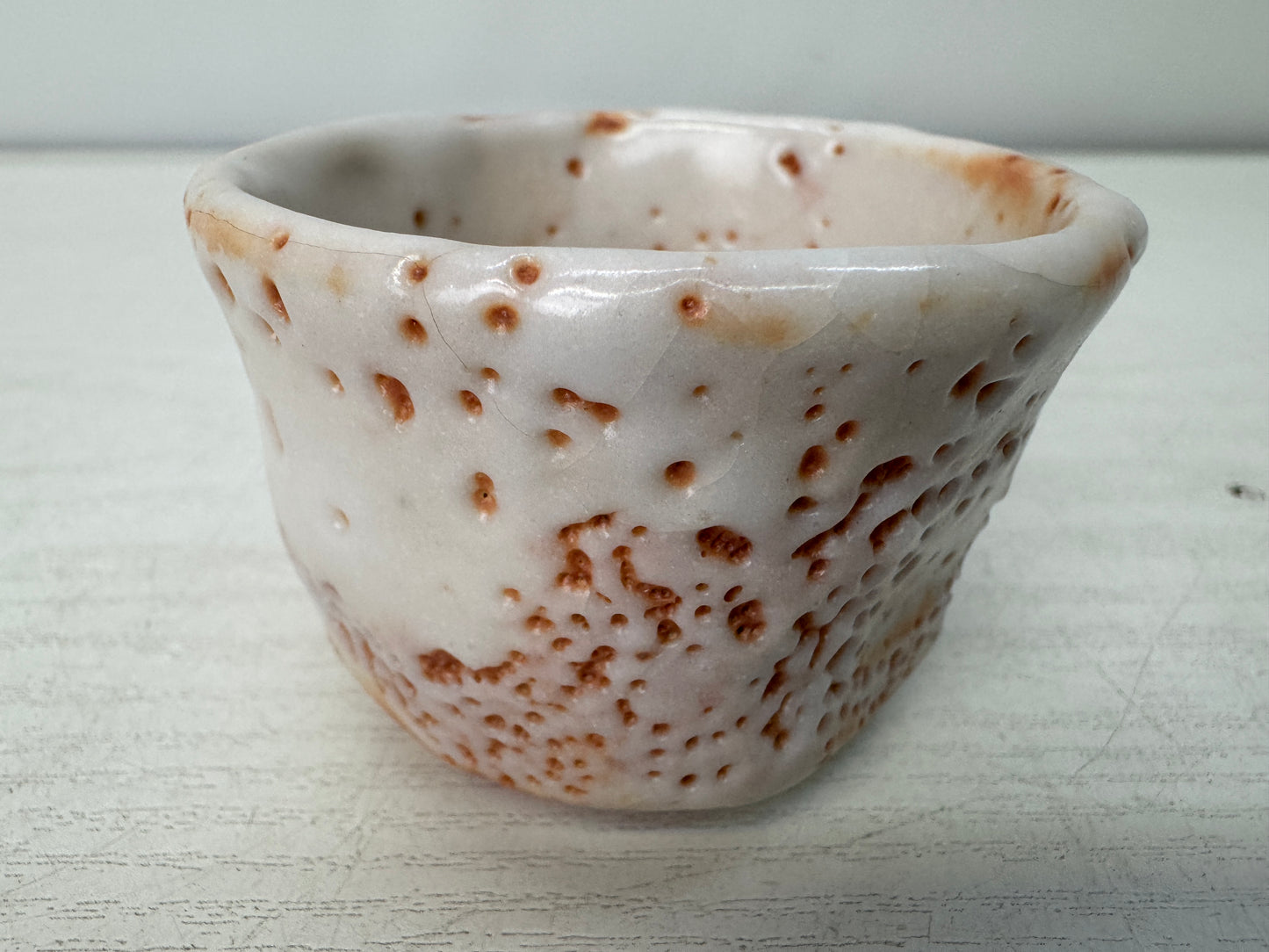 Y10984 CHAWAN Shino-ware Guinomi Sake cup signed box Japan antique tableware