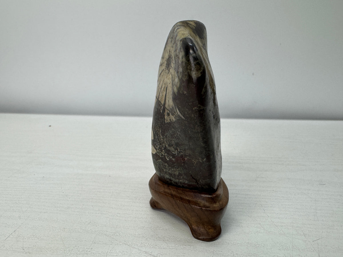 Y10998 OKIMONO Chrysanthemum viewing stone wooden stand Suiseki Japan antique