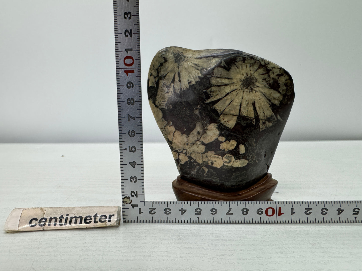 Y10998 OKIMONO Chrysanthemum viewing stone wooden stand Suiseki Japan antique