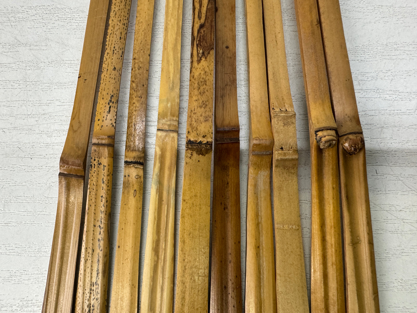 Y11012 CHASHAKU Bamboo tea scoop spoon tube set of 10 Japan antique tea ceremony