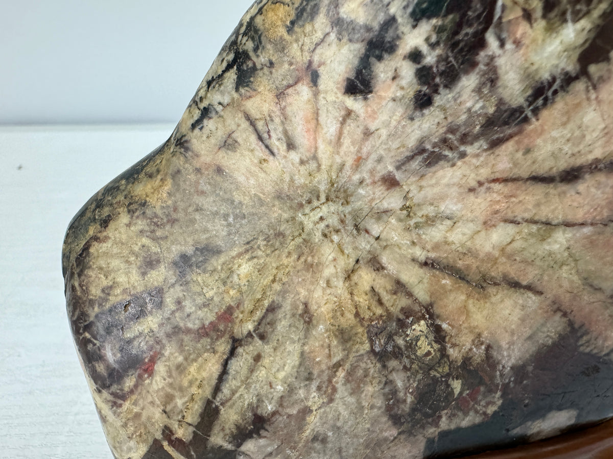 Y11057 OKIMONO Chrysanthemum stone wooden stand Suiseki Japan antique interior