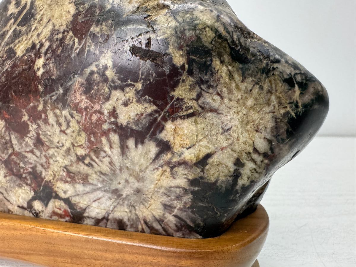 Y11057 OKIMONO Chrysanthemum stone wooden stand Suiseki Japan antique interior
