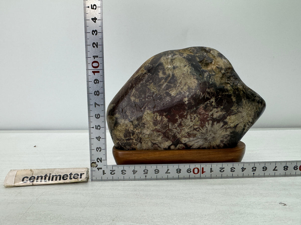 Y11057 OKIMONO Chrysanthemum stone wooden stand Suiseki Japan antique interior