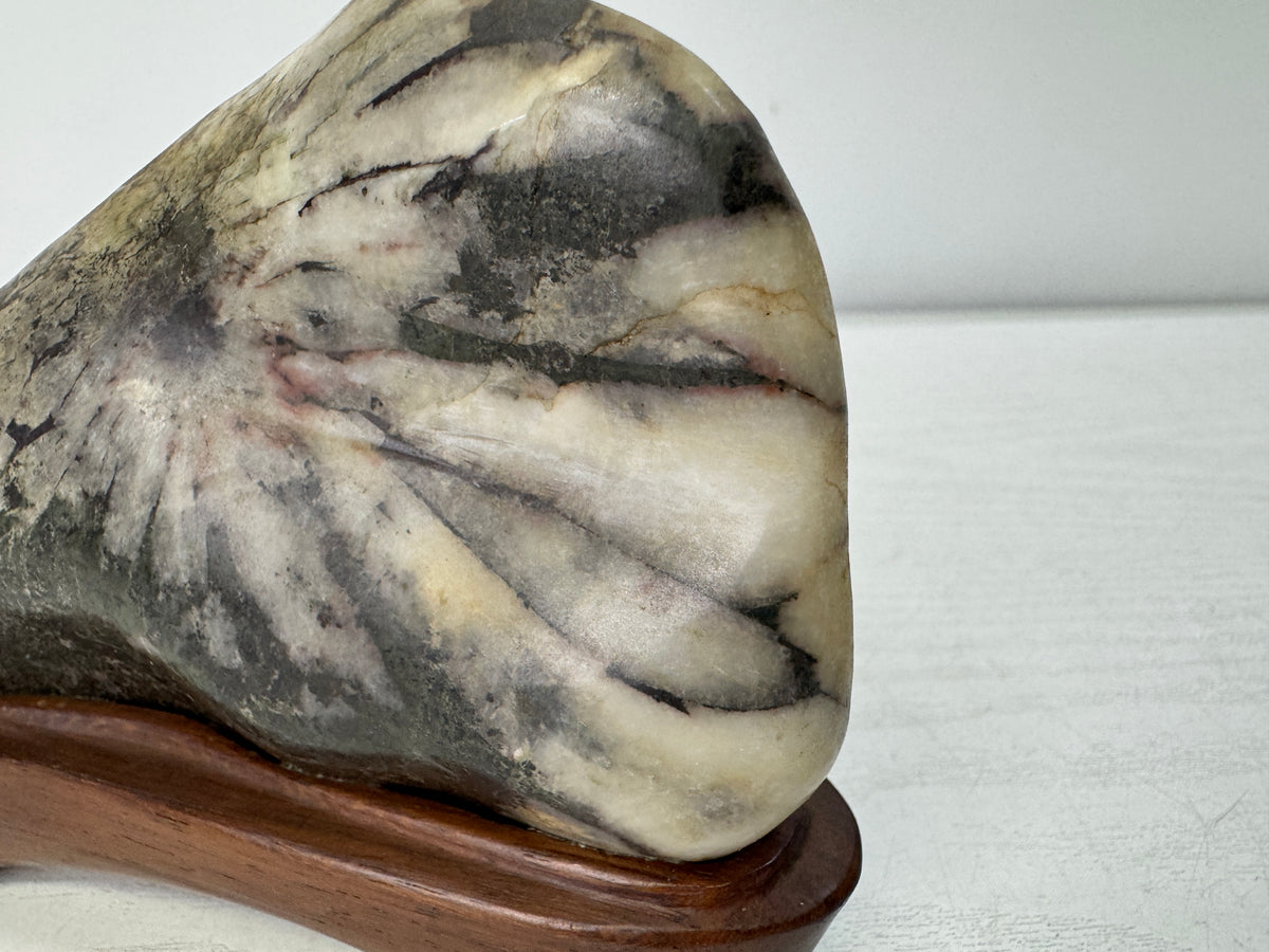 Y11058 OKIMONO Chrysanthemum stone wooden stand Suiseki Japan antique interior