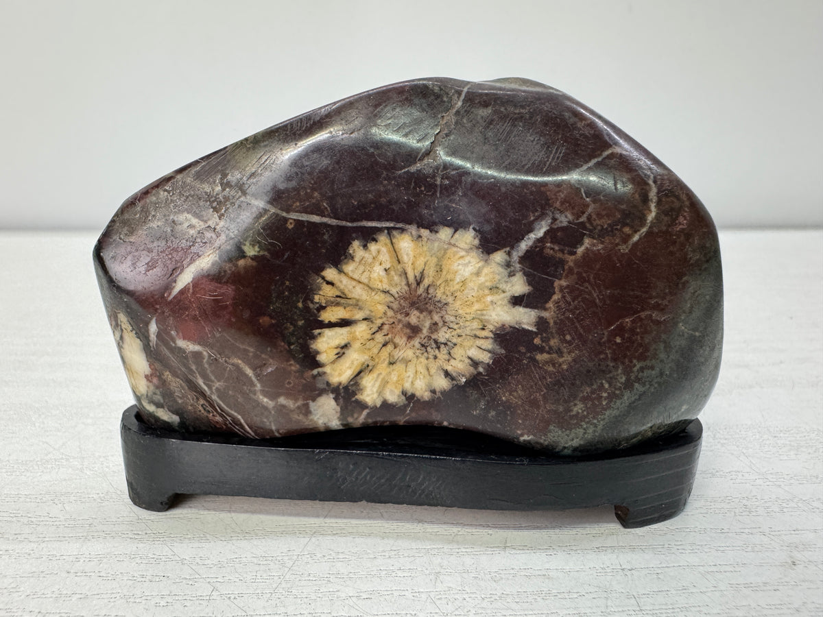 Y11063 OKIMONO Chrysanthemum stone wooden stand Japan antique interior decor