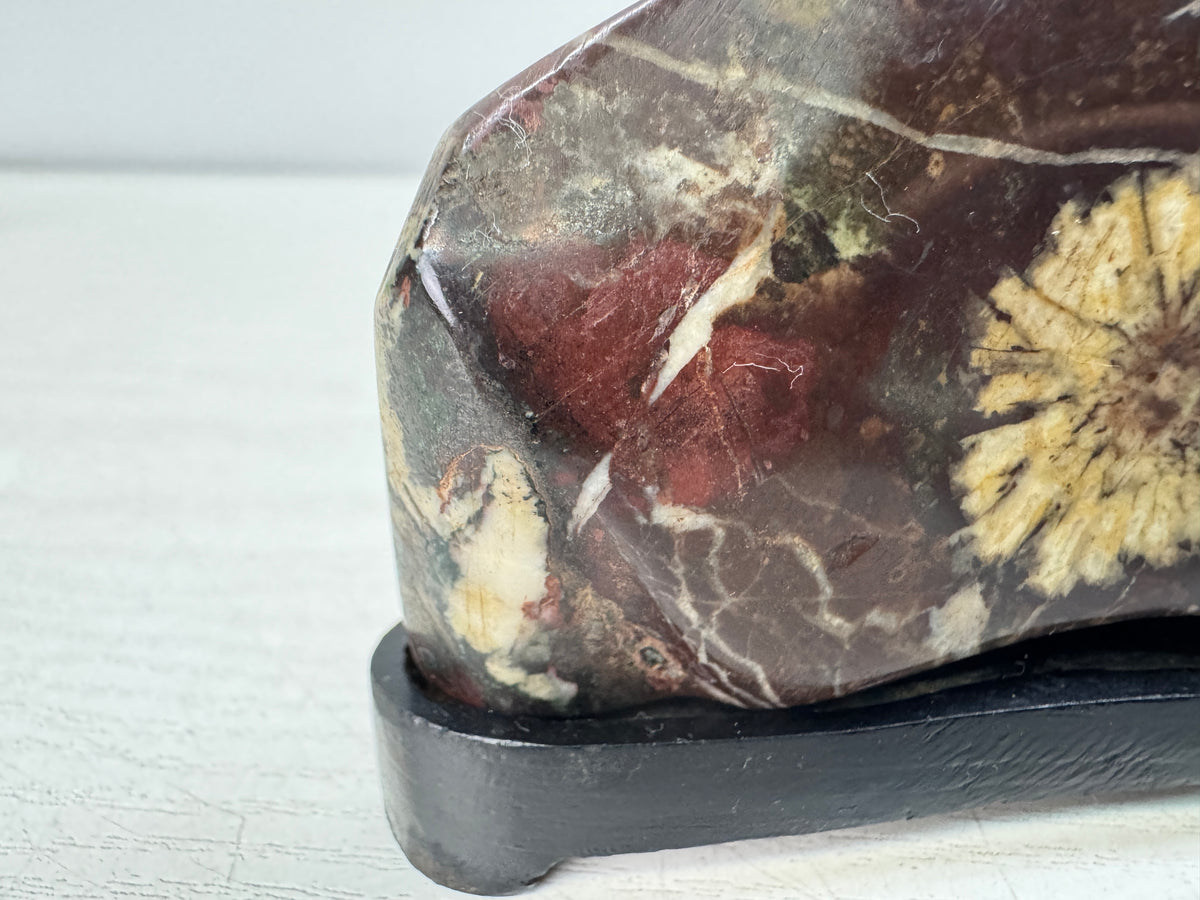 Y11063 OKIMONO Chrysanthemum stone wooden stand Japan antique interior decor