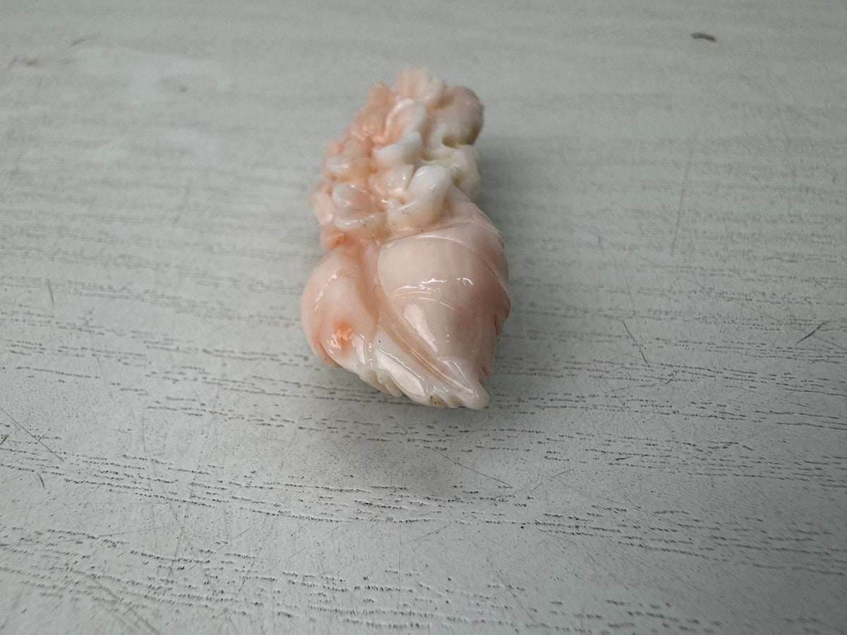 Y11065 OBIDOME Genuine Coral Sash clip brooch Japan antique kimono accessory