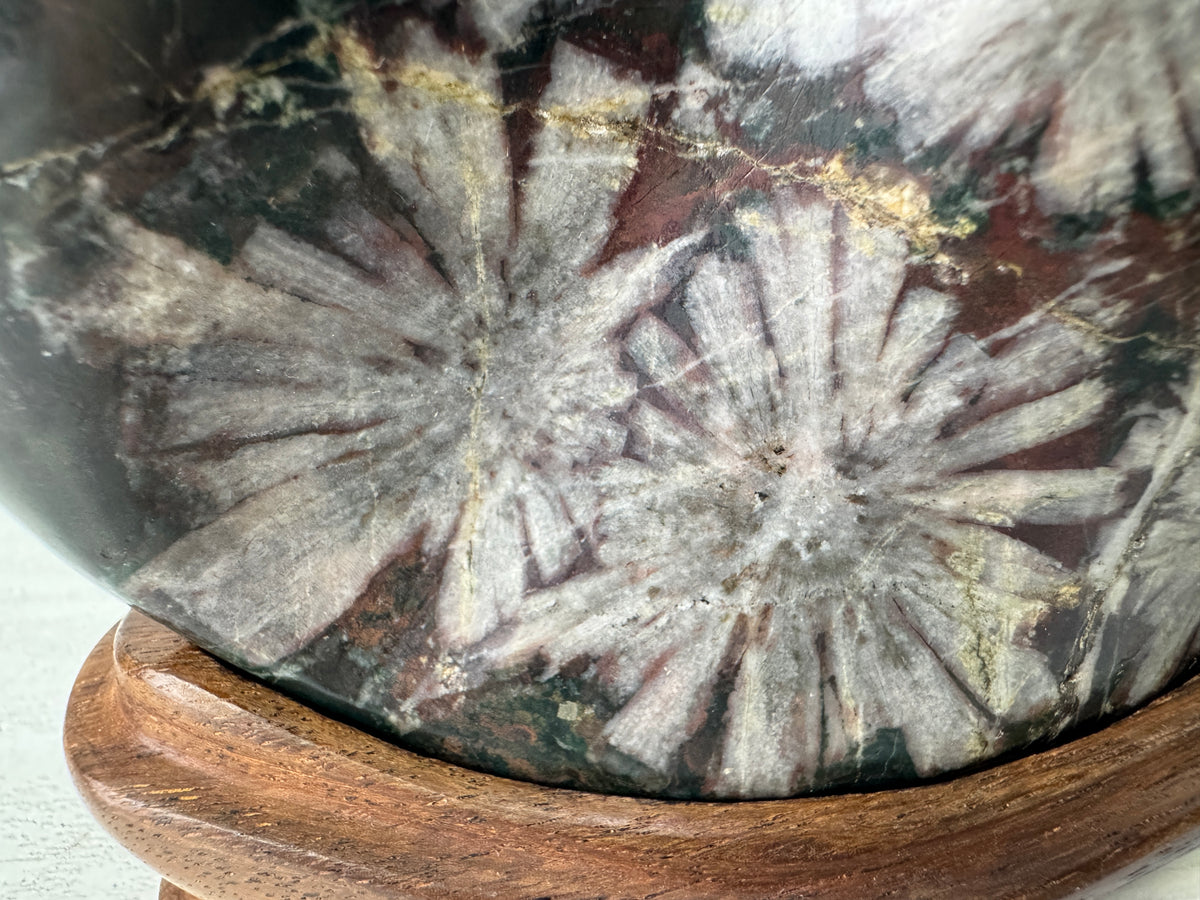 Y11094 OKIMONO Chrysanthemum viewing stone wooden stand Japan antique interior