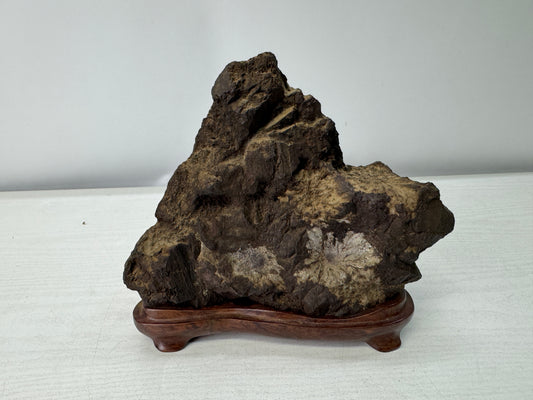 Y11096 OKIMONO Natural Chrysanthemum viewing stone wooden stand Japan antique