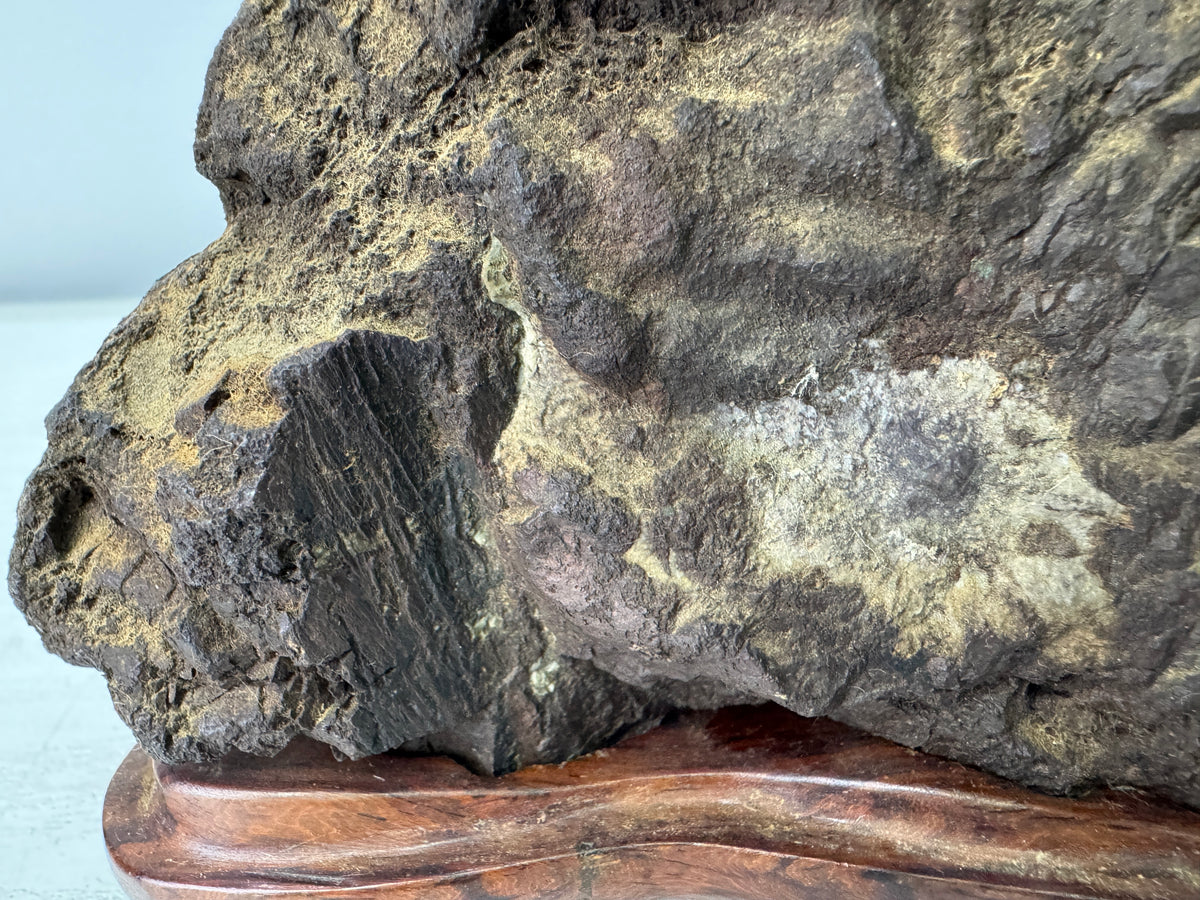 Y11096 OKIMONO Natural Chrysanthemum viewing stone wooden stand Japan antique