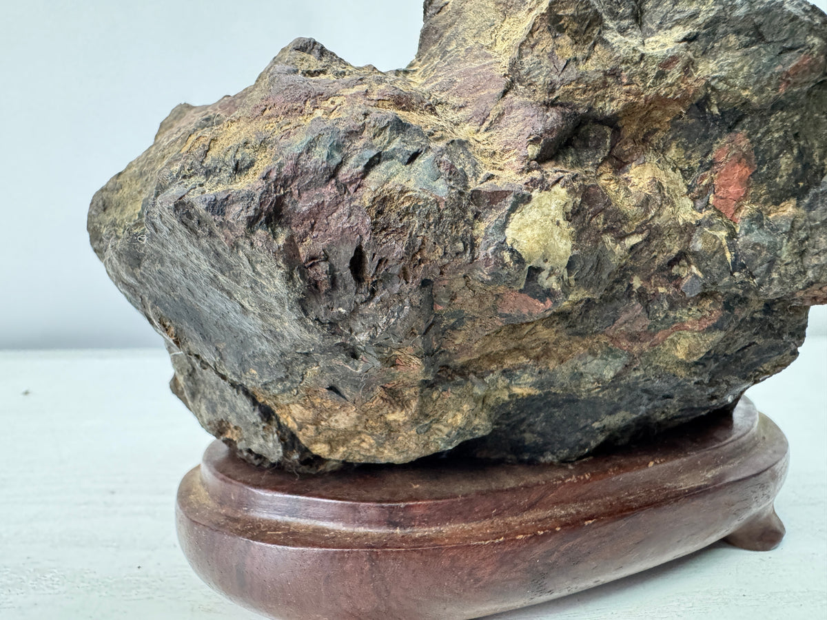 Y11096 OKIMONO Natural Chrysanthemum viewing stone wooden stand Japan antique