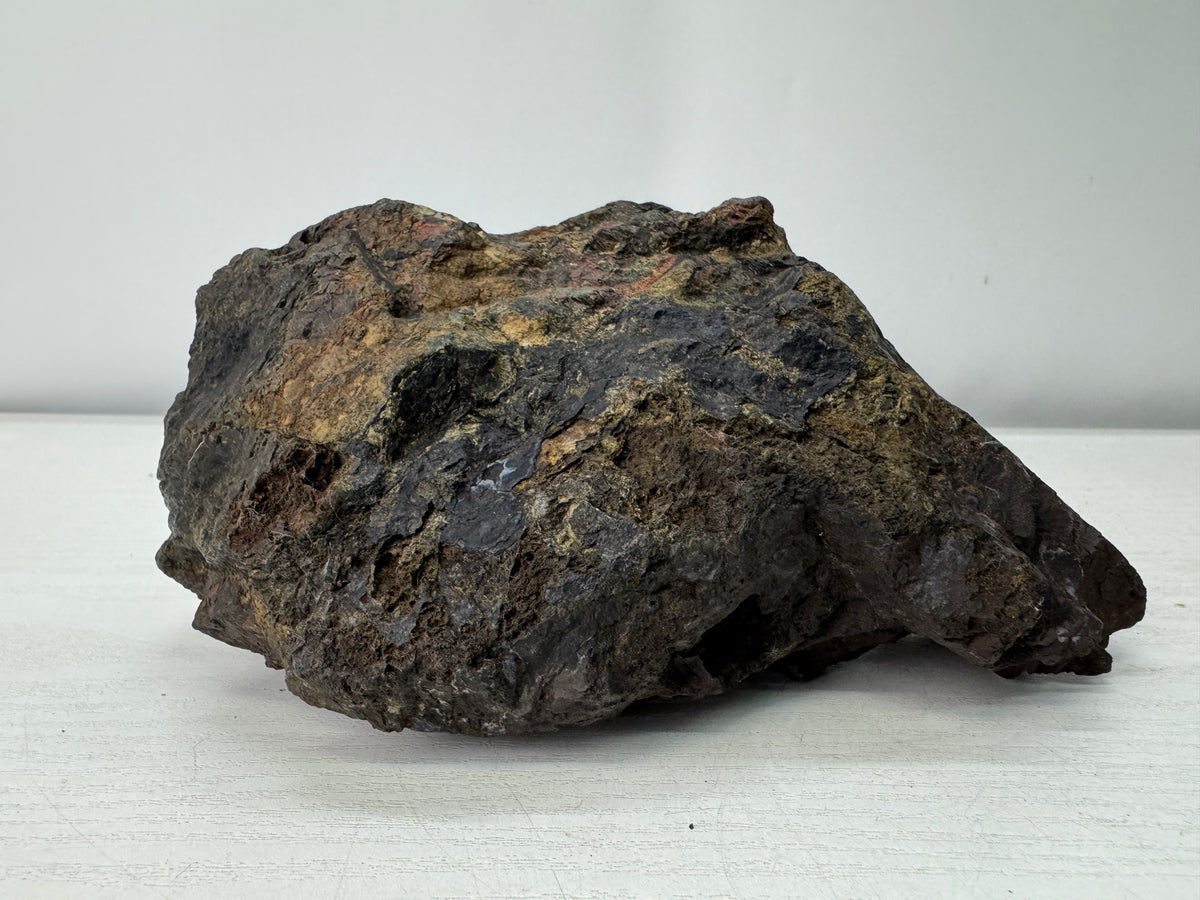 Y11096 OKIMONO Natural Chrysanthemum viewing stone wooden stand Japan antique