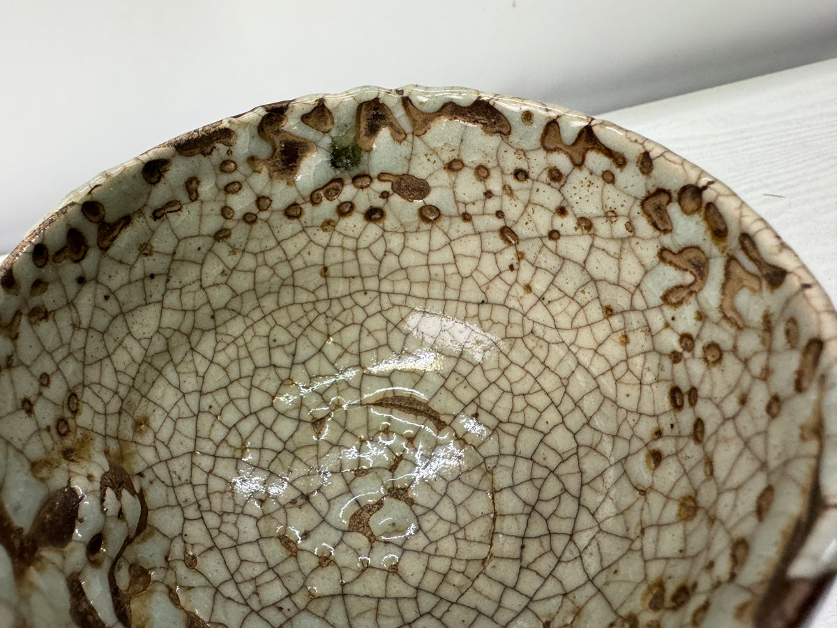 Y11113 CHAWAN Ofuke-ware bowl box Japan antique tea ceremony pottery teacup