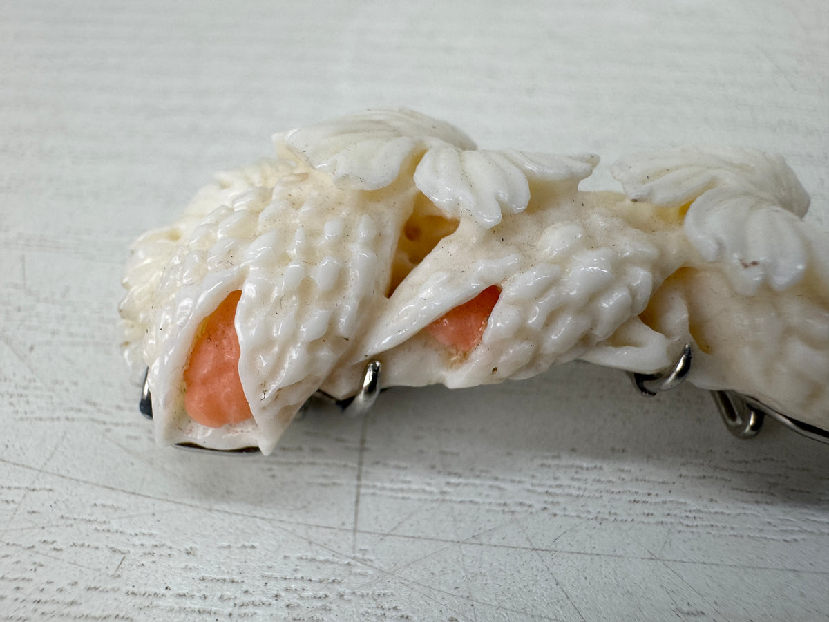 Y11128 OBIDOME Genuine Coral Sash clip brooch Japan antique kimono accessory