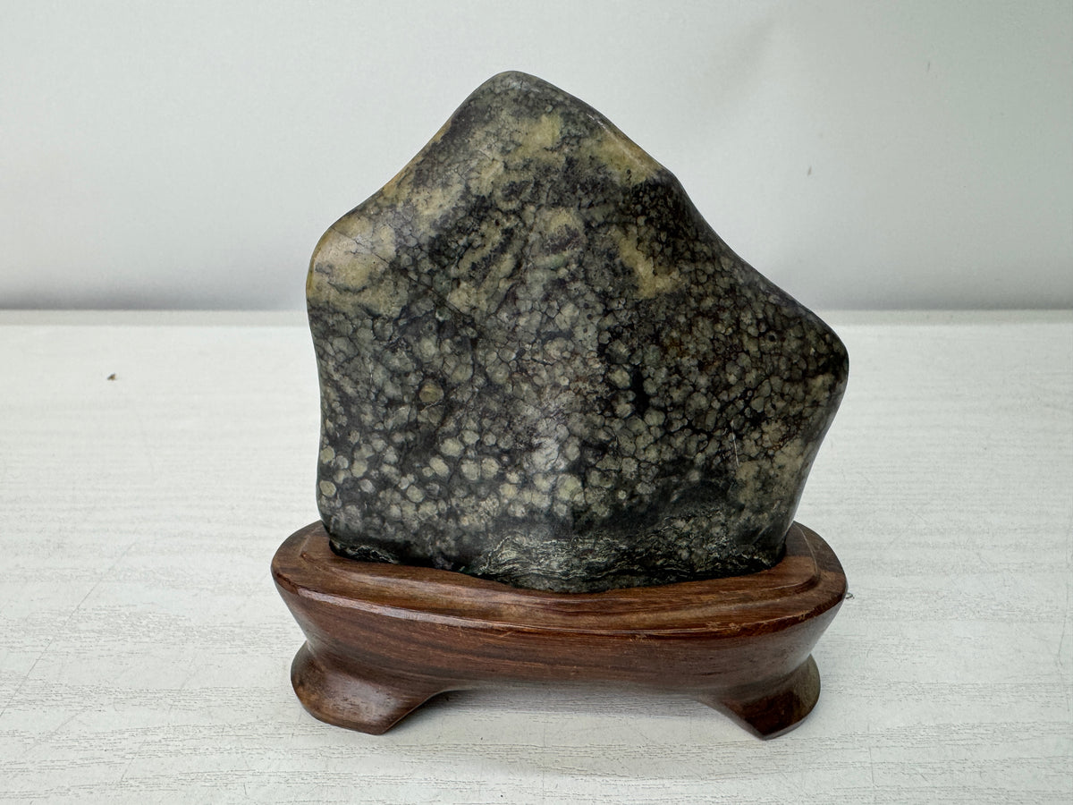 Y11131 OKIMONO Plum Blossom Raw Viewing stone wooden stand Japan antique decor