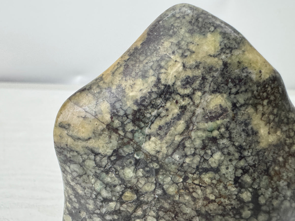 Y11131 OKIMONO Plum Blossom Raw Viewing stone wooden stand Japan antique decor