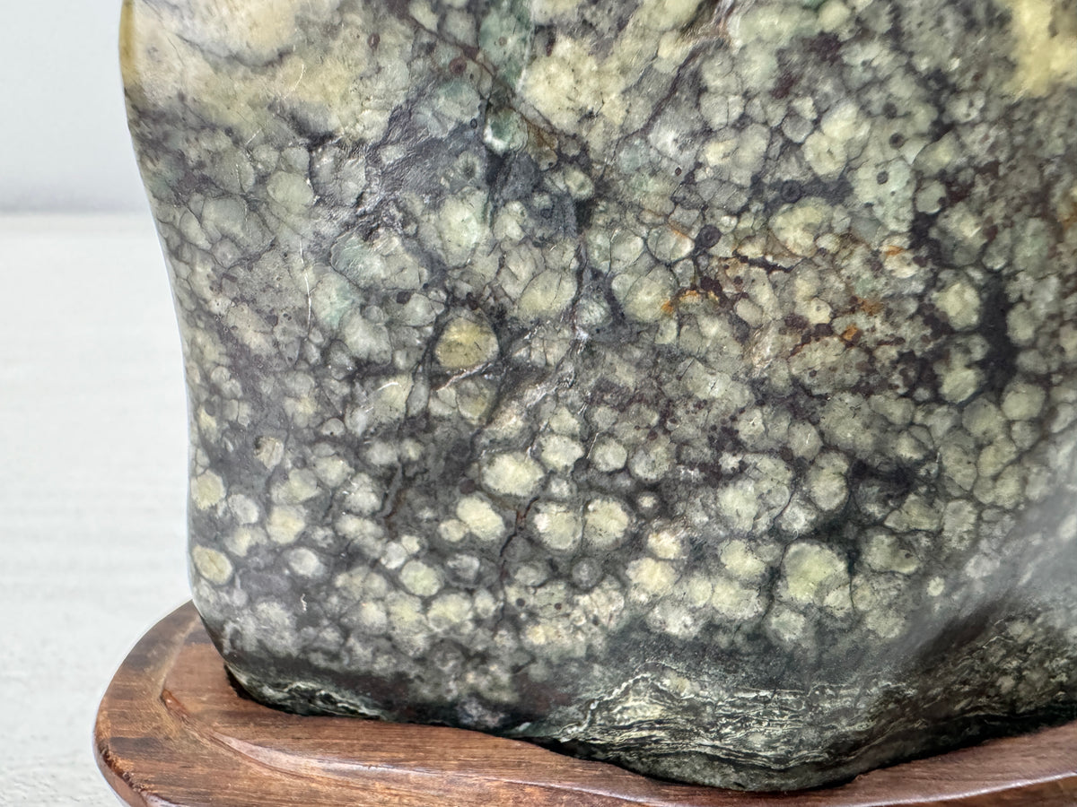 Y11131 OKIMONO Plum Blossom Raw Viewing stone wooden stand Japan antique decor