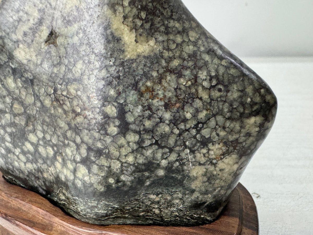 Y11131 OKIMONO Plum Blossom Raw Viewing stone wooden stand Japan antique decor